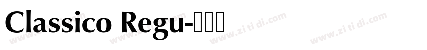 Classico Regu字体转换